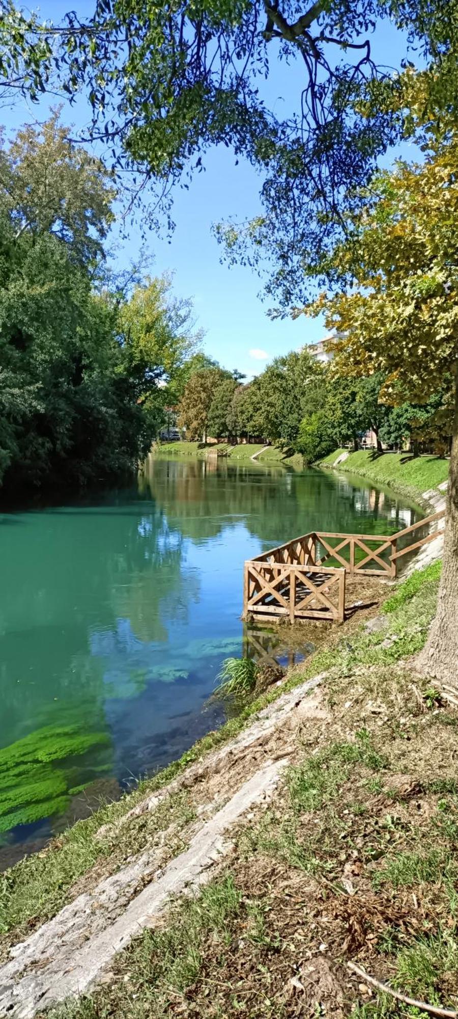 Amalteo 3 Lägenhet Treviso Exteriör bild