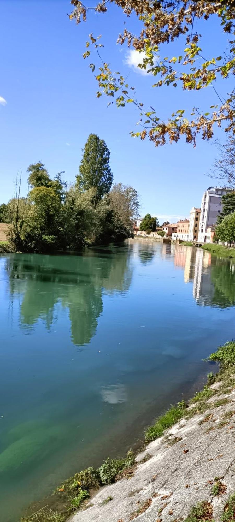 Amalteo 3 Lägenhet Treviso Exteriör bild