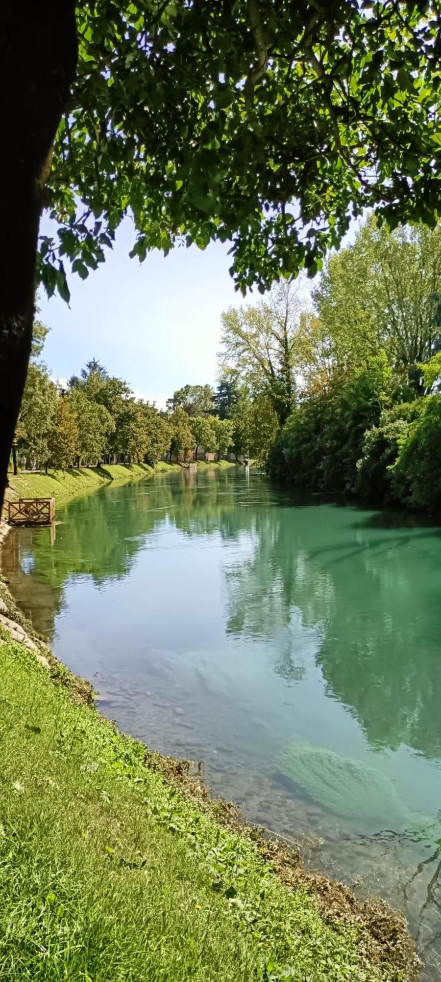 Amalteo 3 Lägenhet Treviso Exteriör bild